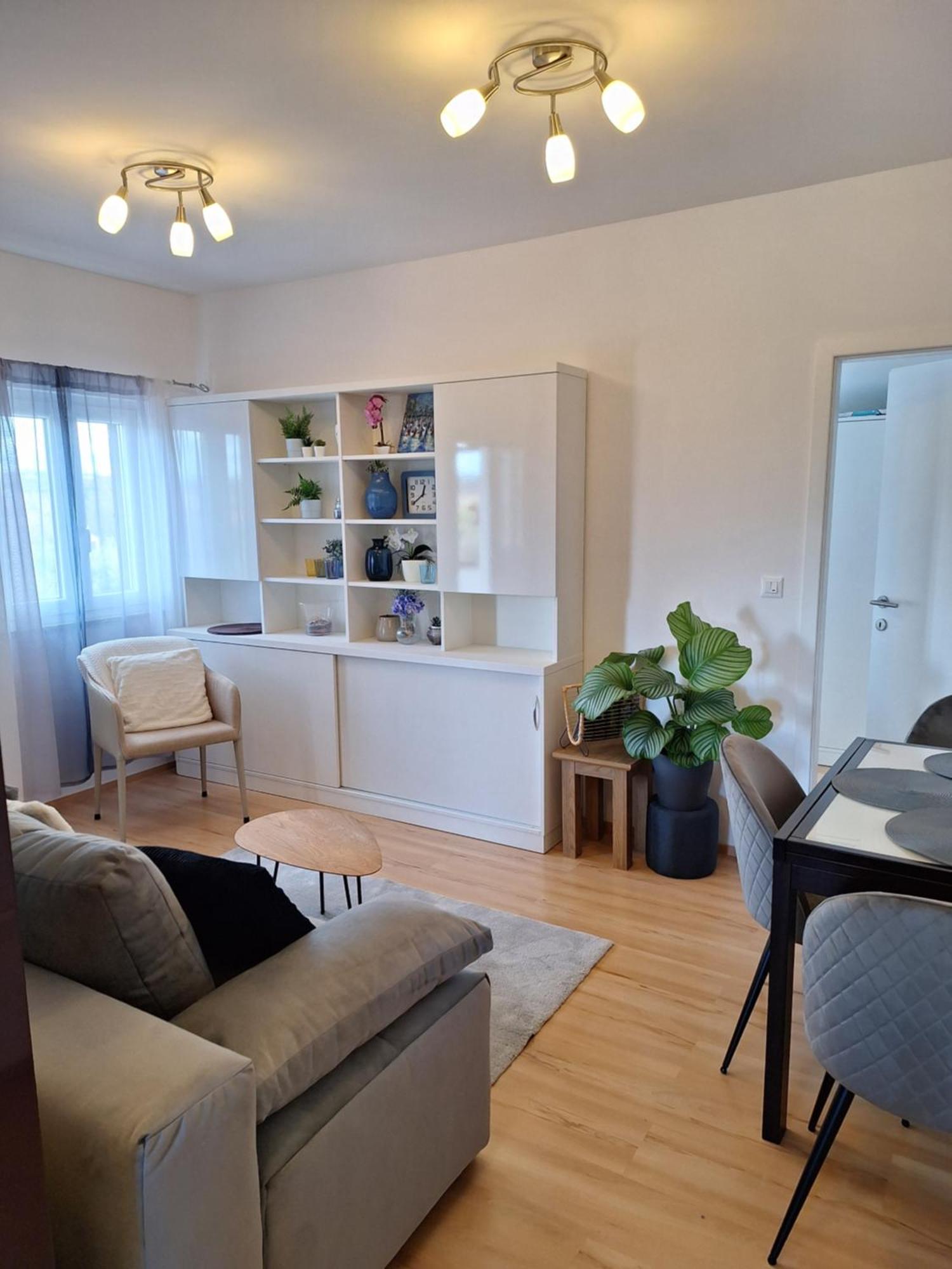 Apartment Dorina Buje Exterior photo