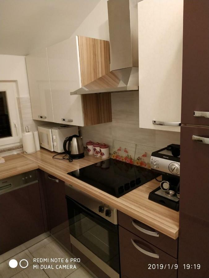 Apartment Dorina Buje Exterior photo